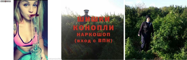 прущие крисы Приозерск