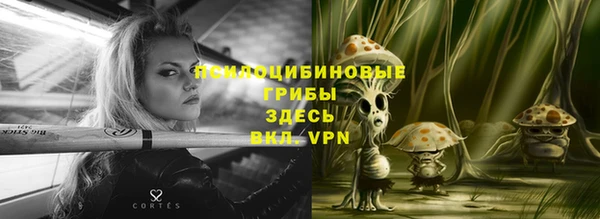мяу мяу кристалл Покачи