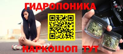 jwh Гусев
