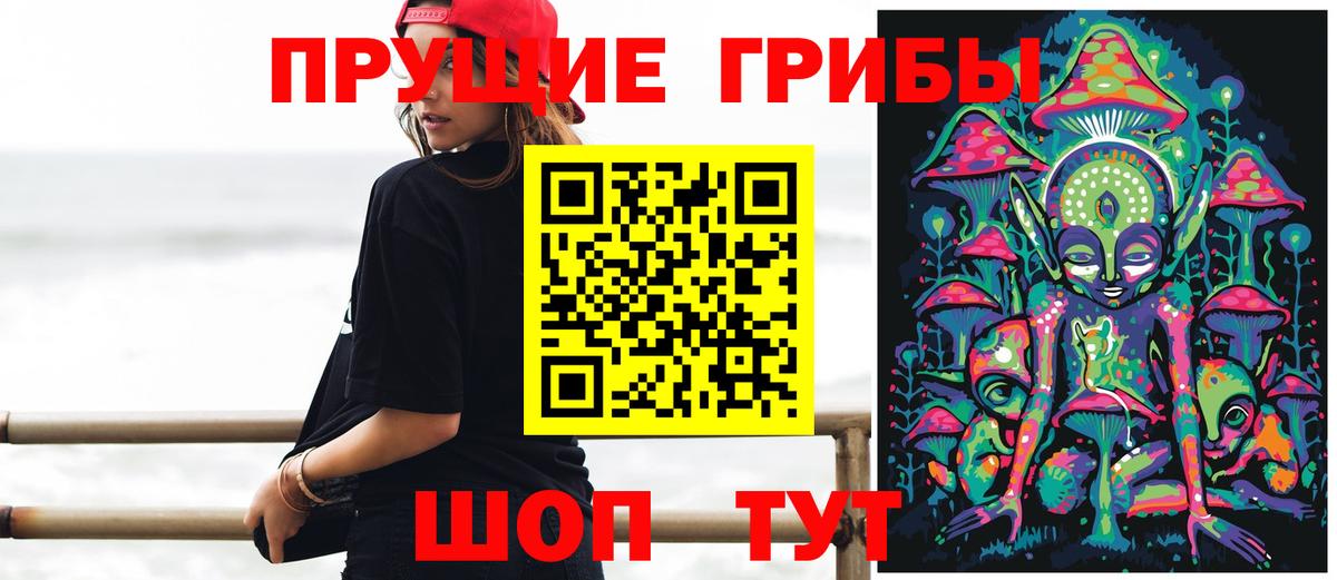 Псилоцибиновые грибы Cubensis Котлас
