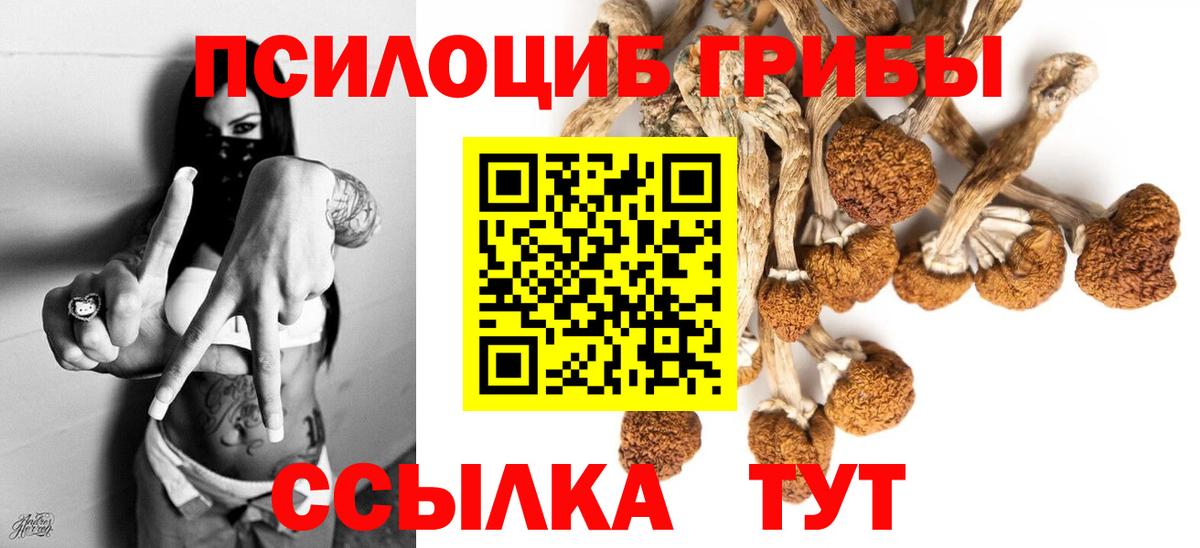Псилоцибиновые грибы GOLDEN TEACHER  как найти закладки  Котлас  Галлюциногенные грибы Psilocybe  Вход с VPN 