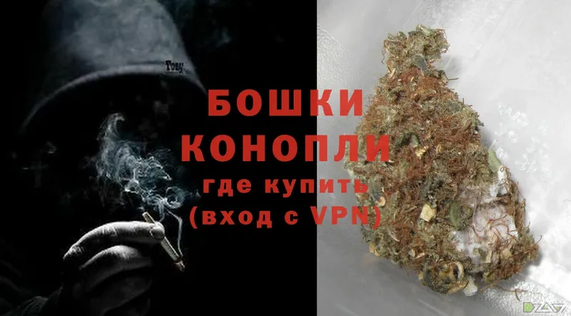 Шишки марихуана White Widow  Котлас 